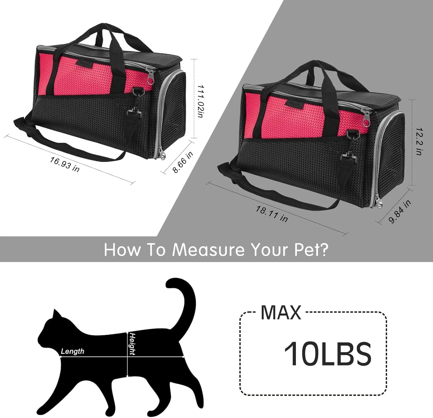 Special edition Cat Dog Carrier. Carriers and Privacy-focused