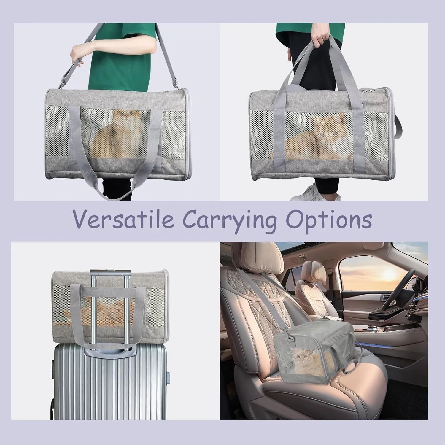 Travel bag Cat Carrier & Dog Carrier for Small Dogs