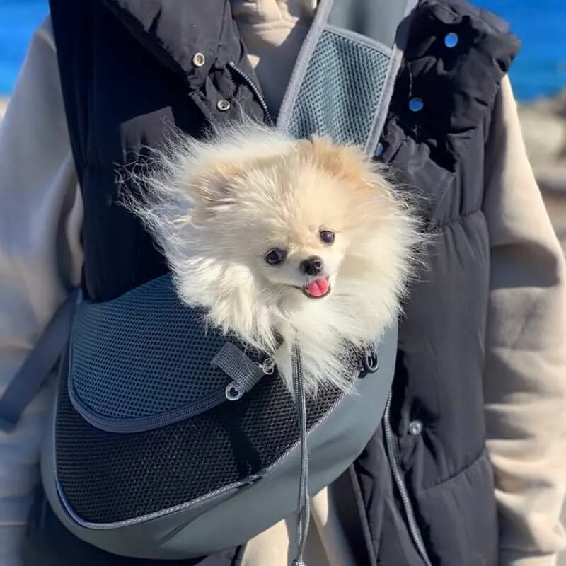 Travel Puppy Carrier