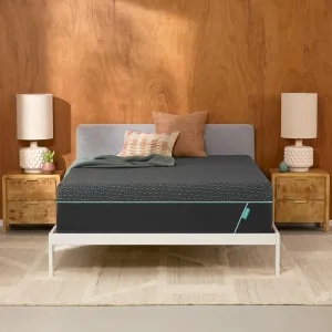 Tuft & Needle Mint Hybrid Medium Plush Full Size Mattress in a Box, Cooling Adaptive Foam, Pocketed Coil Support, 100 Night Trial, Fiberglass Free, CertiPUR-US, 10-Year Limited Warranty