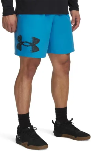 Under Armour Men's Tech Woven Graphic Shorts