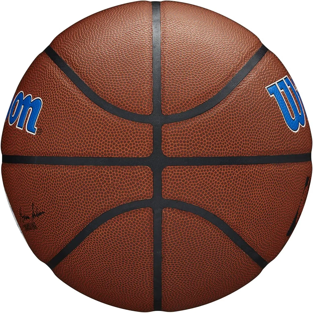 WILSON NBA Team Alliance Basketballs - Size 7-29.5"